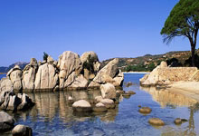 超级品牌盛典圆满成功